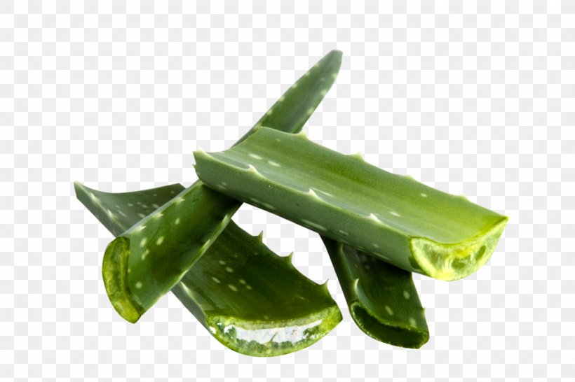 Cucumber, PNG, 1024x682px, Cucumber, Aloe, Ingredient, Vegetable Download Free