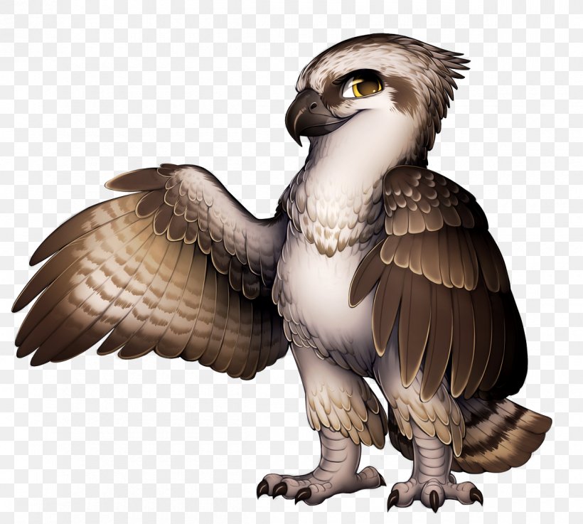 Eagle Falcon Hawk, PNG, 1200x1079px, Eagle, Accipitriformes, Beak, Bird, Bird Of Prey Download Free