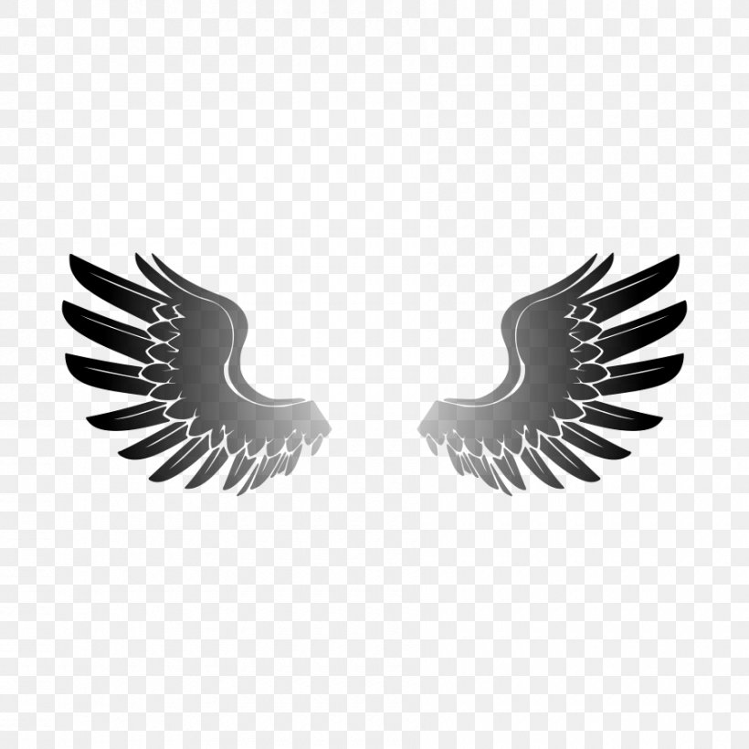 Eagle Wing Clip Art, PNG, 900x900px, Eagle, Beak, Bird, Bird Flight, Bird Of Prey Download Free