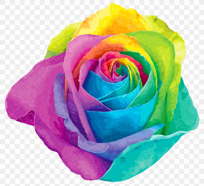 Flower Rainbow Rose Clip Art, PNG, 7000x6395px, Rainbow Rose, Blue Rose, Cut Flowers, Floribunda, Floristry Download Free