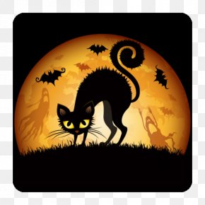 Halloween Wallpaper, PNG, 801x801px, 4k Resolution, Halloween, Art ...