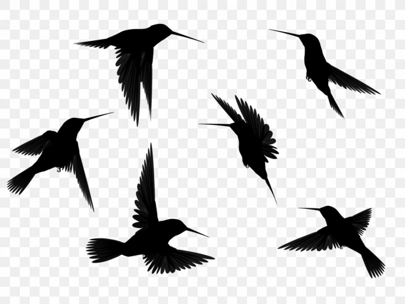 Hummingbird Bird Flight Clip Art, PNG, 1109x832px, Hummingbird, Animal Migration, Art, Beak, Bird Download Free