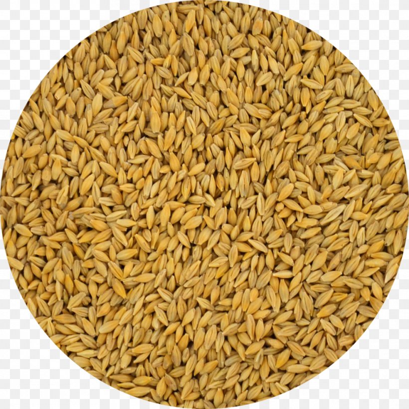 Oat Barley Cereal Whole Grain Spelt, PNG, 986x986px, Oat, Avena, Barley, Barleycorn, Barleys Download Free