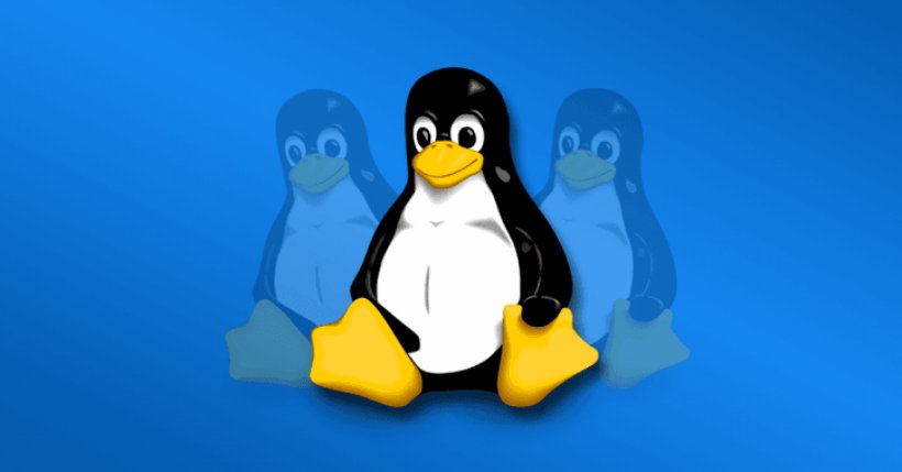 Operating Systems GNU/Linux Computer Software Windows Subsystem For Linux, PNG, 1680x880px, Operating Systems, Beak, Bird, Computer Software, Flightless Bird Download Free
