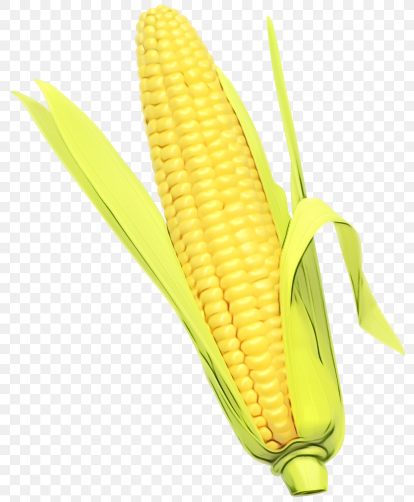 Corn Kernels Corn Corn On The Cob Sweet Corn Corn On The Cob, PNG, 812x993px, Watercolor, Corn, Corn Kernels, Corn On The Cob, Cuisine Download Free