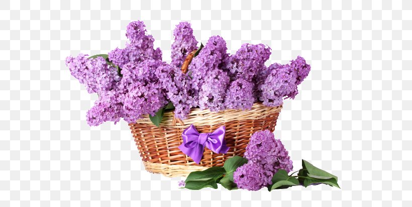 Cut Flowers Basket Lilac Purple, PNG, 650x413px, Flower, Basket, Color, Cut Flowers, Embroidery Download Free