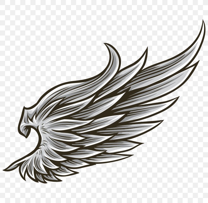 Drawing Angel Wing, PNG, 800x800px, Wing, Angel Wing, Beak, Bird, Black And White Download Free