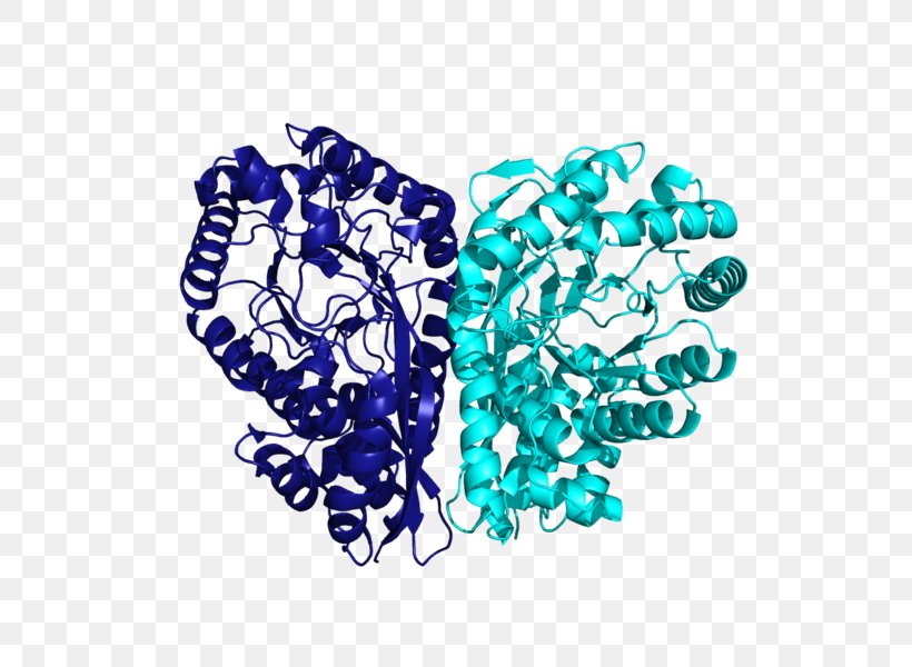 Methylaspartate Ammonia-lyase L-threo-3-Methylaspartate Enzyme, PNG, 600x600px, Lyase, Amino Acid, Ammonia, Aqua, Catalysis Download Free