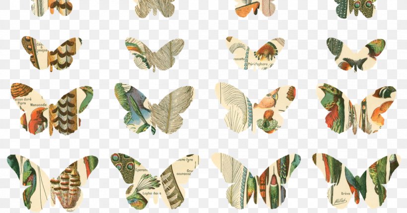 Moth Insect Wing Animal Font, PNG, 1200x630px, Moth, Animal, Animal Figure, Arthropod, Butterfly Download Free