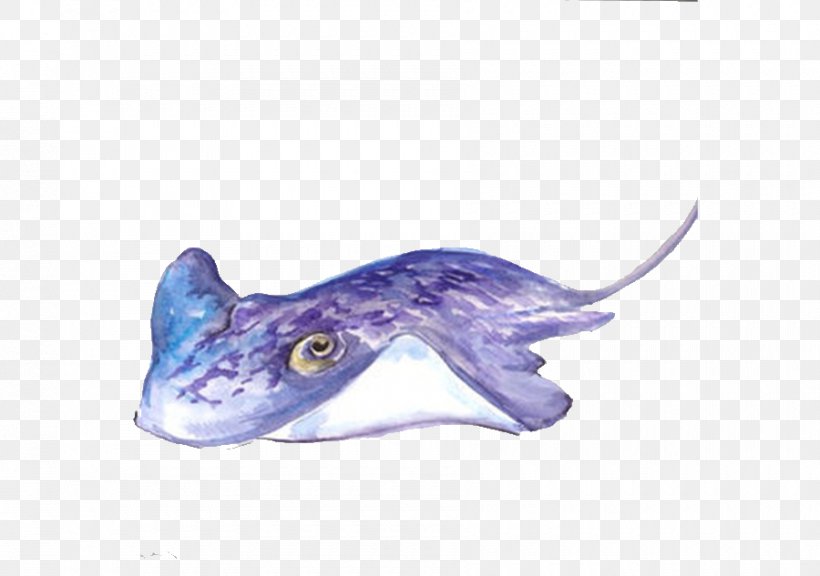 Painting Sea Art Animal Ocean, PNG, 900x633px, Painting, Animal, Art, Art  Museum, Color Download Free