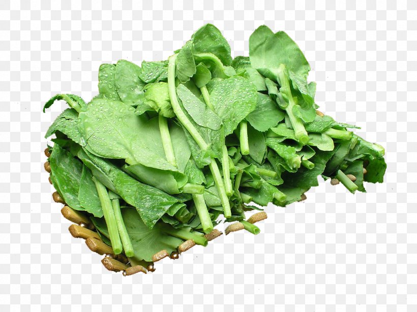 Pea Romaine Lettuce Food Stir Frying Tofu, PNG, 1024x768px, Pea, Bean, Choy Sum, Collard Greens, Cooking Download Free