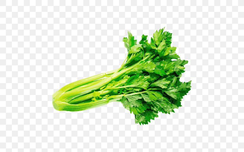 Vector Graphics Herb Celery Vegetable, PNG, 512x512px, Herb, Basil, Celery, Chard, Coriander Download Free