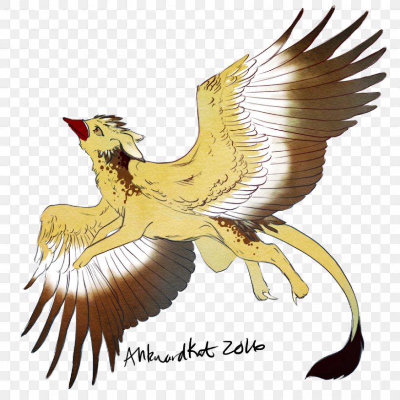 Vulture Eagle Beak Feather, PNG, 894x894px, Vulture, Beak, Bird, Bird Of Prey, Chicken Download Free