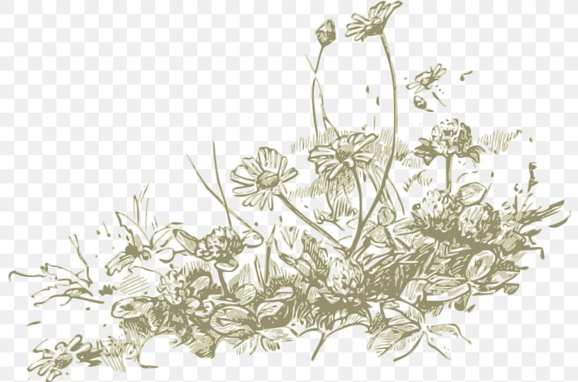 Wildflower Drawing Clip Art, PNG, 800x542px, Wildflower, Black And White, Branch, Drawing, Flora Download Free