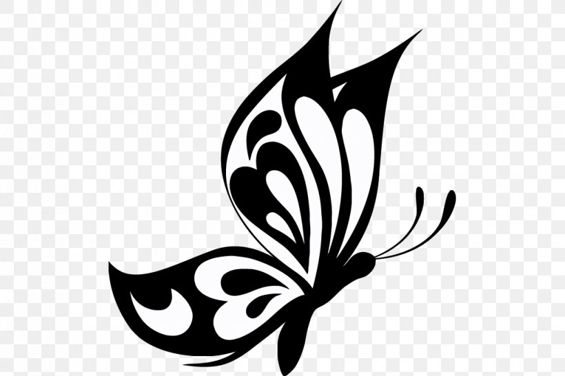 Butterfly Outline SVG