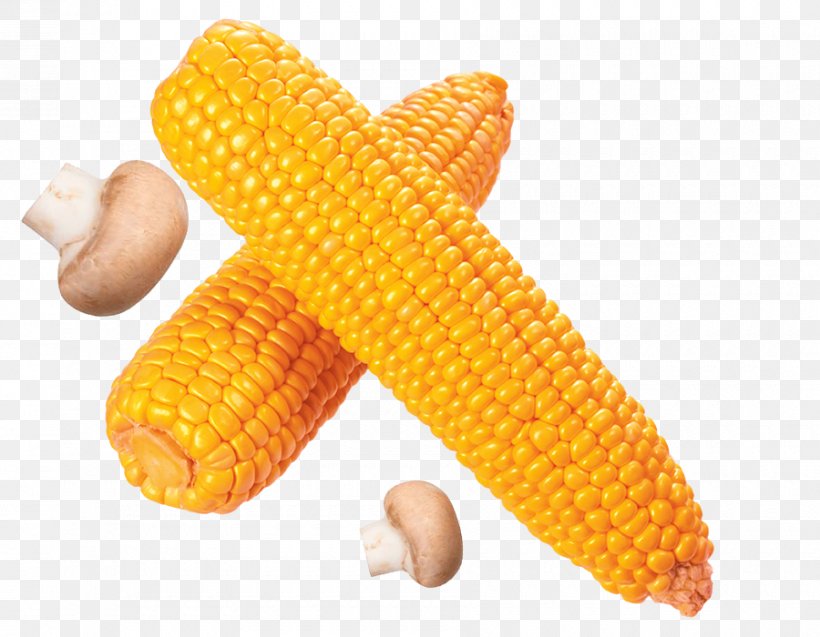 Corn On The Cob Flint Corn Sweet Corn Cereal, PNG, 900x700px, Corn On The Cob, Cereal, Commodity, Corn Kernels, Corncob Download Free