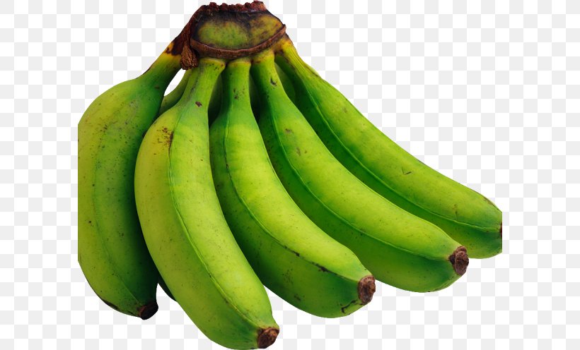 Vegetarian Cuisine Colombian Cuisine Cooking Banana Peel, PNG, 600x496px, Vegetarian Cuisine, Banana, Banana Family, Cavendish Banana, Colombian Cuisine Download Free