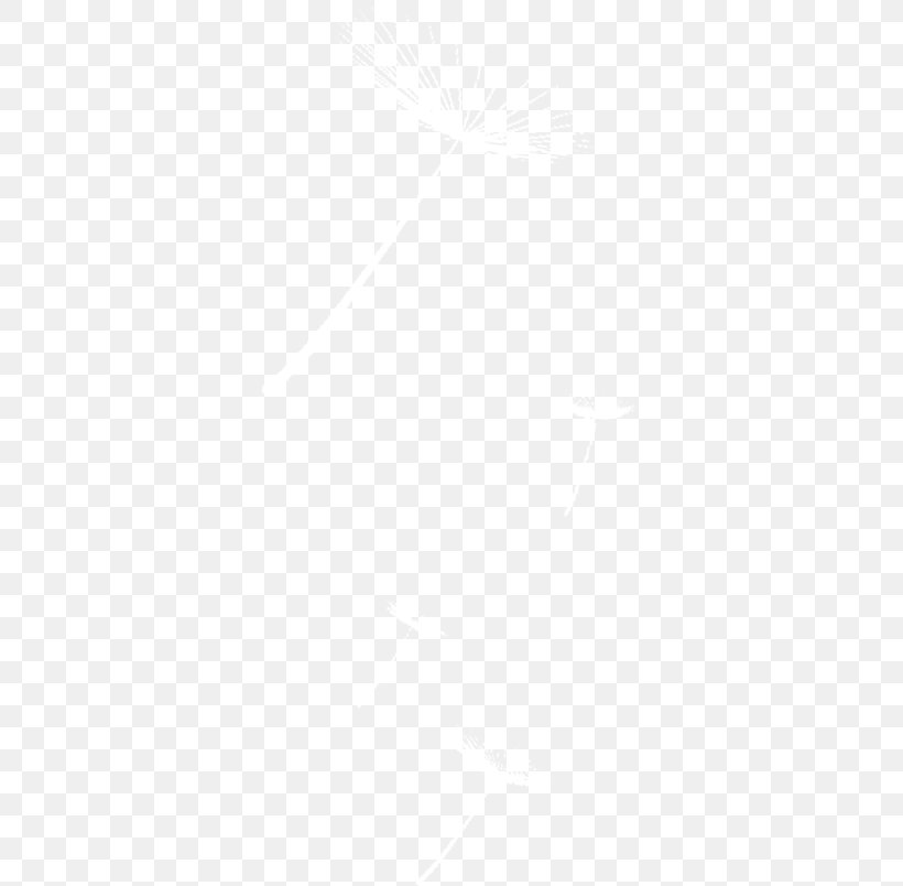 Black And White Line Angle Point, PNG, 346x804px, White, Area, Black, Black And White, Monochrome Download Free