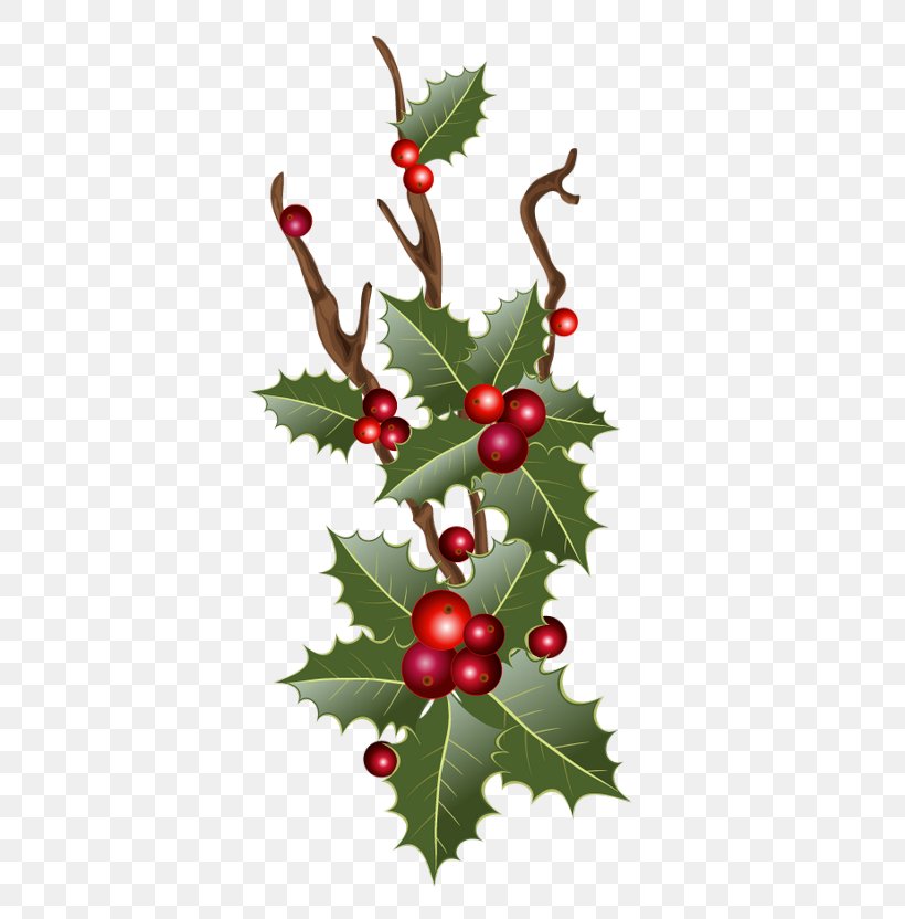Christmas Day Christmas Decoration Vector Graphics Christmas Ornament Illustration, PNG, 400x832px, Christmas Day, American Holly, Berry, Branch, Chinese Hawthorn Download Free
