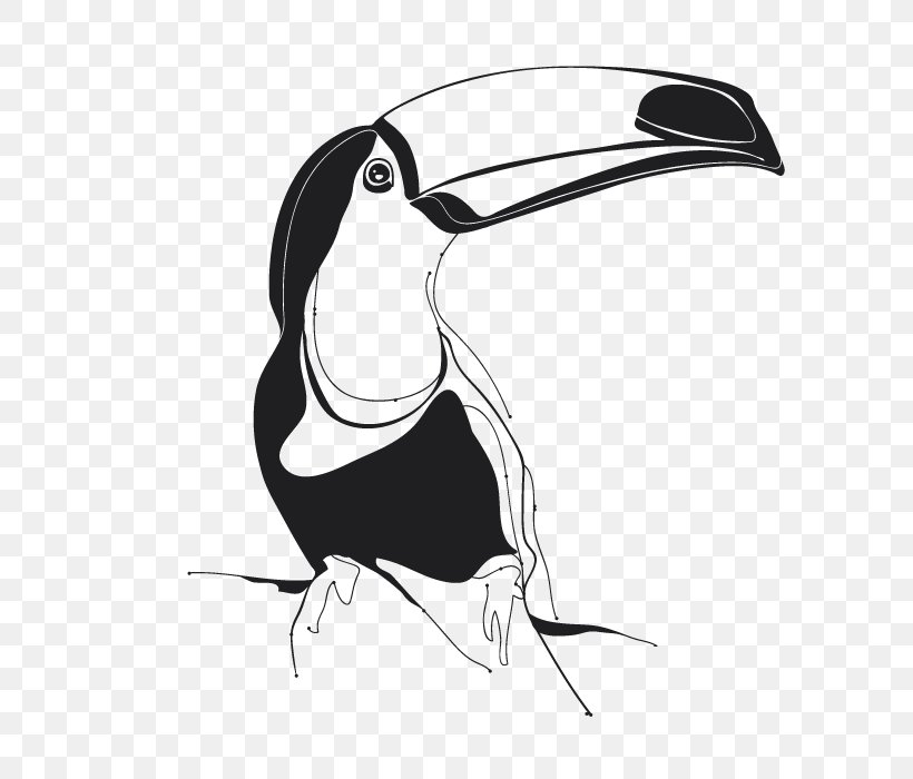 Penguin Design Clip Art Beak Toucan, PNG, 700x700px, Penguin, Beak, Bird, Black And White, Cartoon Download Free