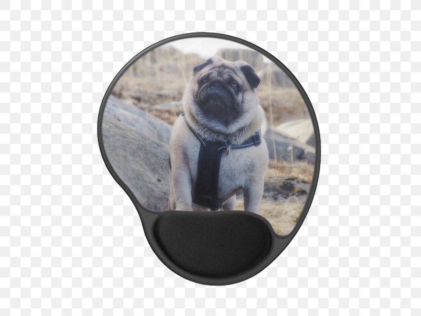 Pug Dog Breed Samsung Galaxy S5 Toy Dog Snout, PNG, 615x615px, Pug, Breed, Carnivoran, Christmas, Dog Download Free
