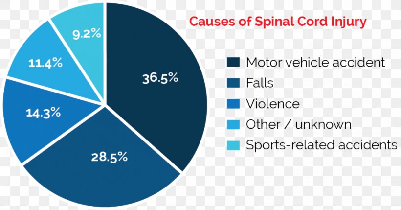 Spinal Cord Injury Medicine Vertebral Column, PNG, 1024x536px, Spinal Cord Injury, Area, Blue, Brand, Burn Download Free