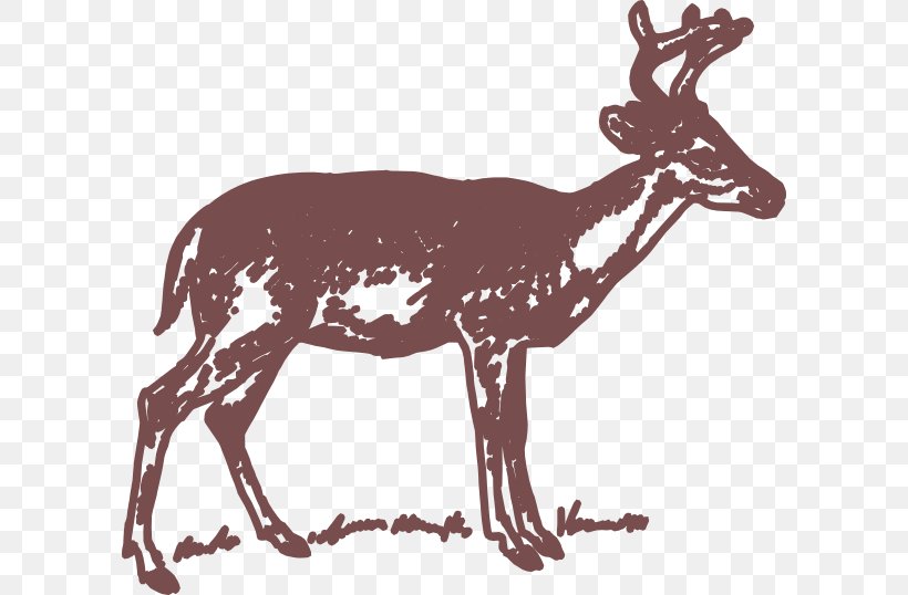 White-tailed Deer Clip Art, PNG, 600x538px, Deer, Antler, Black And White, Drawing, Elk Download Free