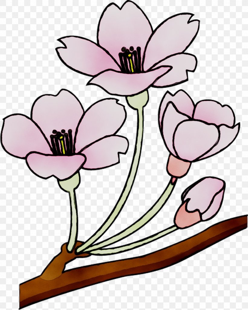 Floral Design Cut Flowers Plant Stem Branch, PNG, 1034x1293px, Floral Design, Botany, Branch, Cartoon, Character Download Free