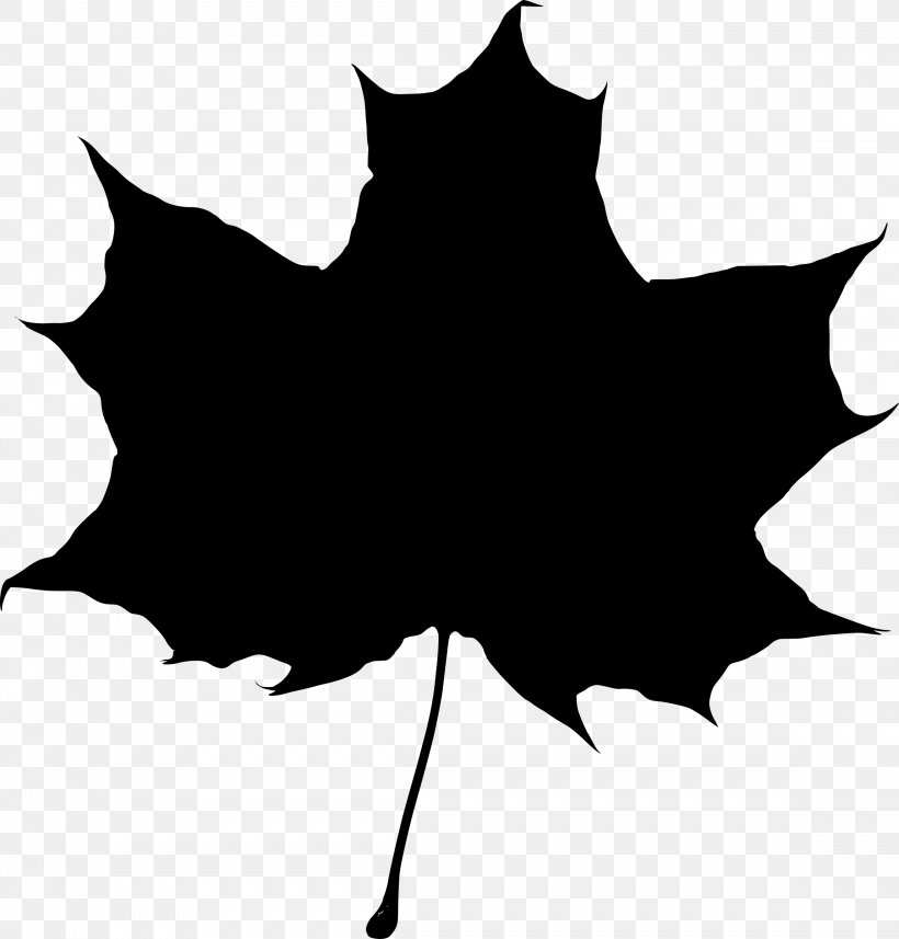Maple Leaf Drawing Silhouette, PNG, 2296x2400px, Maple Leaf, Black, Black And White, Branch, Drawing Download Free
