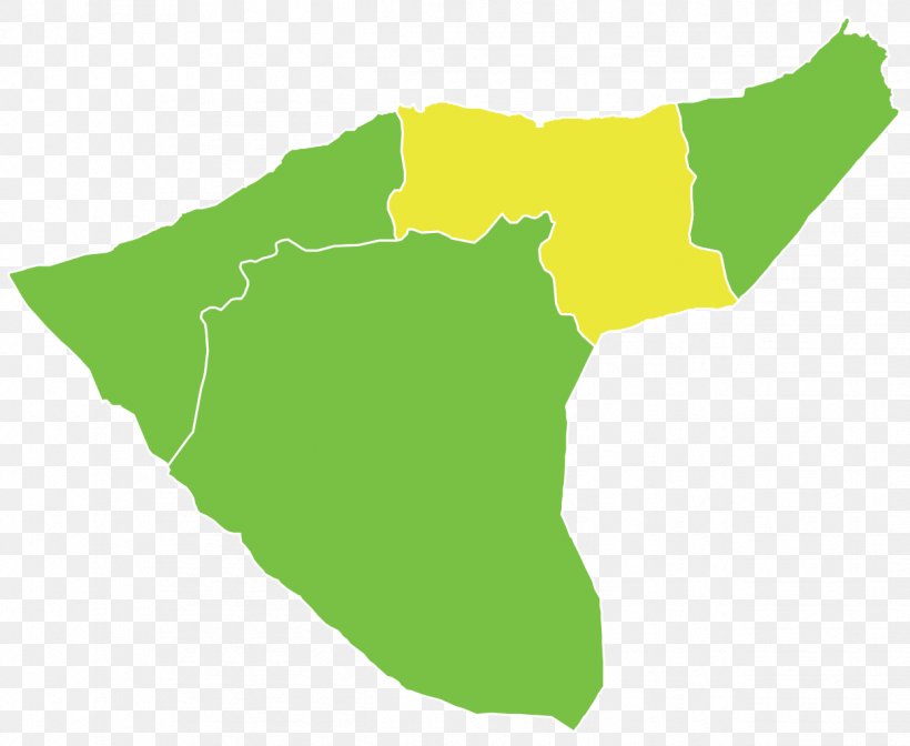 Qamishli Subdistrict Amuda Tell Hamis Districts Of Syria, PNG, 1248x1024px, Qamishli, Alhasakah Governorate, Alqahtaniyah Alhasakah Governorate, Arabs, City Download Free