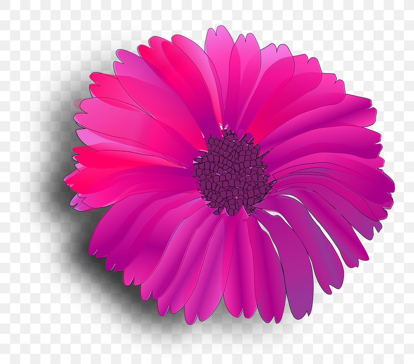 Pink Flowers Clip Art, PNG, 783x720px, Pink Flowers, Annual Plant, Aster, Common Daisy, Cut Flowers Download Free
