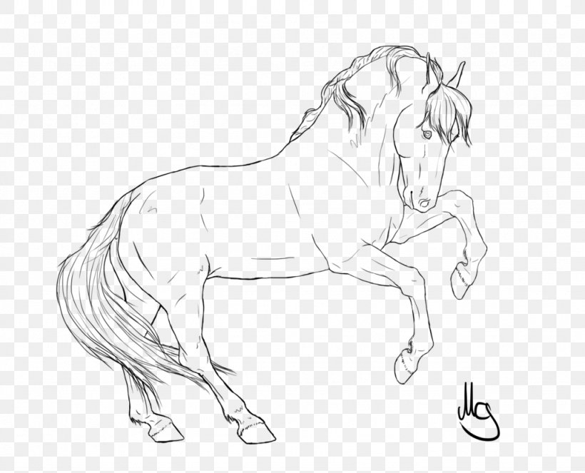 Wild Horse Drawing Line Art Pencil, PNG, 1024x829px, Horse, Animal Figure, Arm, Artwork, Black And White Download Free