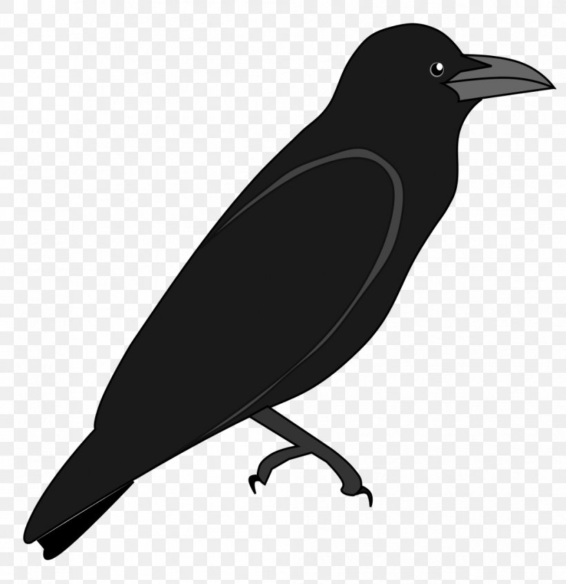 American Crow New Caledonian Crow Wikimedia Commons Wikimedia Foundation, PNG, 992x1024px, American Crow, Beak, Bird, Black And White, Crow Download Free