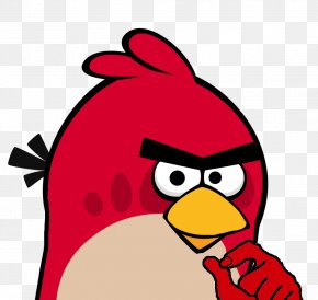 Bird - Angry Birds Friends Angry Birds Seasons Angry Birds Transformers PNG