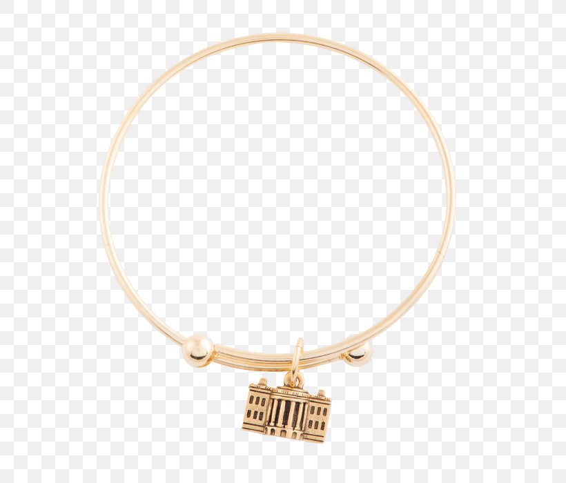 Bangle Bracelet Necklace Body Jewellery, PNG, 700x700px, Bangle, Body Jewellery, Body Jewelry, Bracelet, Fashion Accessory Download Free