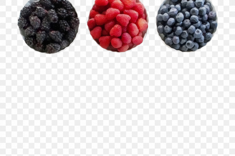 Berry In.is.msci Saudi A.cap.ls Blackberry Limited Superfood, PNG, 1200x800px, Watercolor, Berry, Blackberry, Blackberry Limited, Fruit Download Free