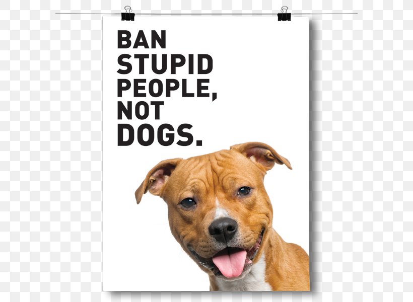 Dog Breed Puppy Pit Bull Dog Behavior Dog Collar, PNG, 600x600px, Dog Breed, Behavior, Breed, Carnivoran, Collar Download Free