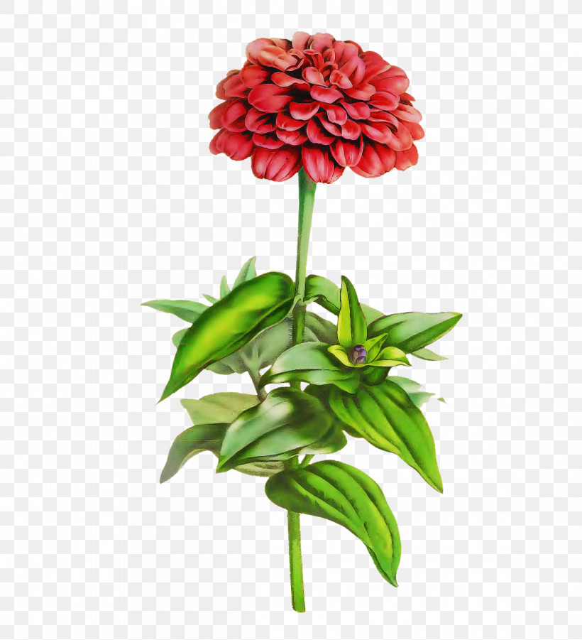 Floral Design, PNG, 1164x1280px, Cut Flowers, Artificial Flower, Carnation, Floral Design, Flower Download Free
