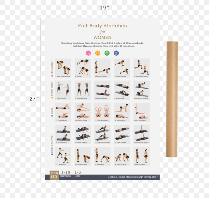 Total Gym Stretching Bodyweight Exercise Physical Fitness, PNG, 600x780px, Total Gym, Abdominal Exercise, Bodyweight Exercise, Brand, Core Download Free