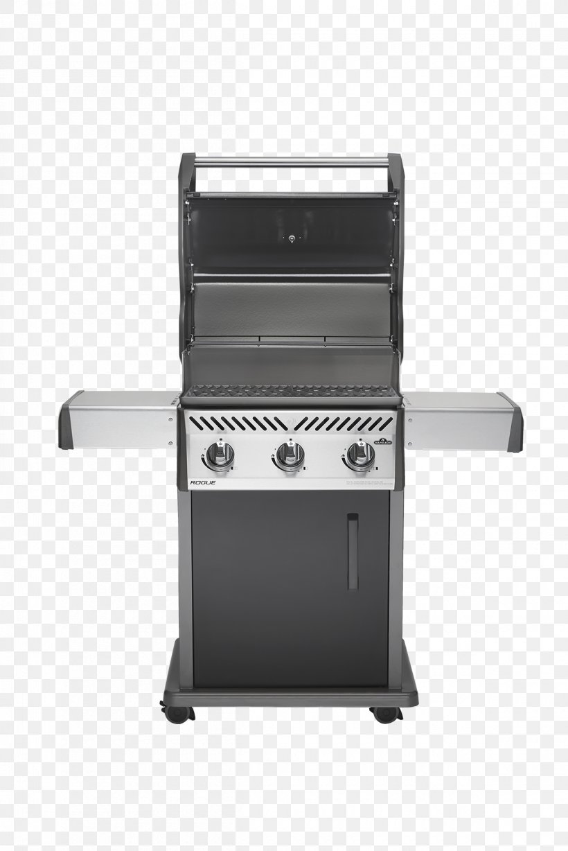 Best Barbecues British Thermal Unit Searing Grilling, PNG, 1200x1798px, Barbecue, Best Barbecues, British Thermal Unit, Cooking, Grilling Download Free