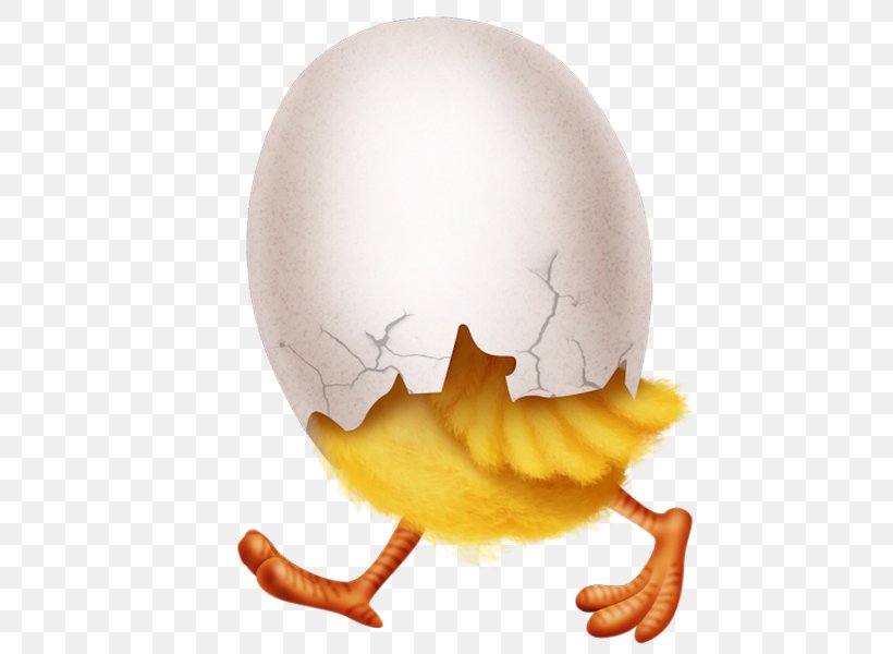 Egg, PNG, 468x600px, Egg, Egg Cup, Egg White, Egg Yolk, Jaw Download Free