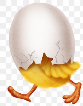 Egg Yolk Jaw - Egg PNG