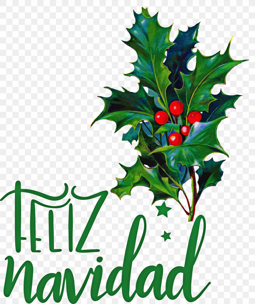 Feliz Navidad Merry Christmas, PNG, 2724x3254px, Feliz Navidad, American Holly, Aquifoliaceae, Christmas Card, Christmas Day Download Free