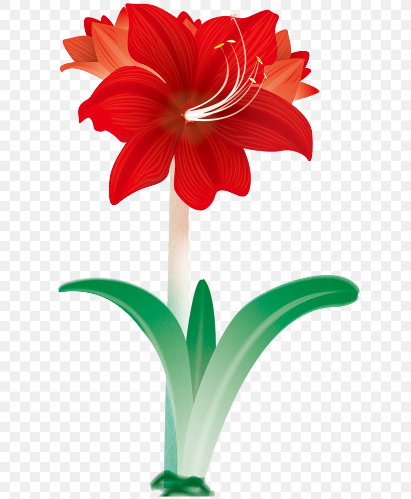 Flower Red Ribbon Orange Textile, PNG, 619x994px, Flower, Amaryllis Belladonna, Amaryllis Family, Blue, Cut Flowers Download Free
