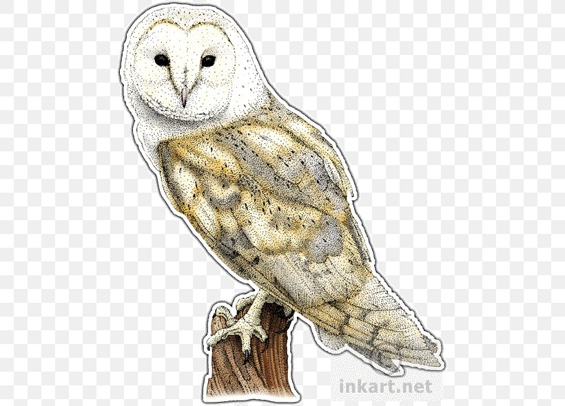 Great Grey Owl Bird Barn Owl, PNG, 481x590px, Great Grey Owl, Animal, Barn Owl, Beak, Bird Download Free