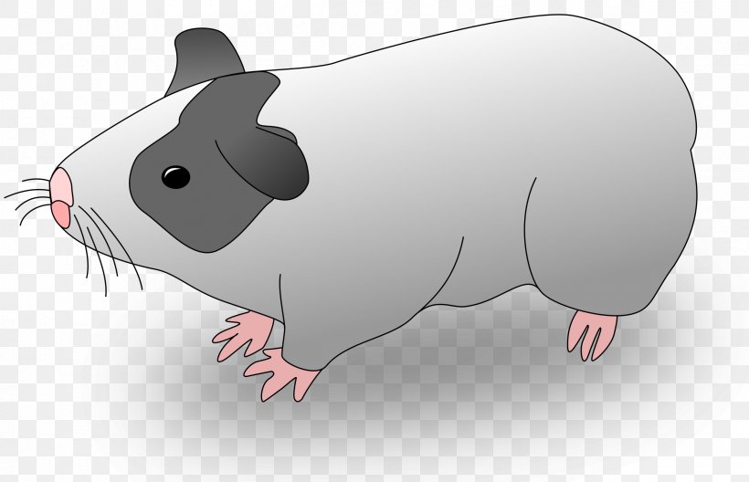 Guinea Pig Drawing Clip Art, PNG, 2400x1548px, Guinea Pig, Cartoon, Drawing, Fauna, Mammal Download Free