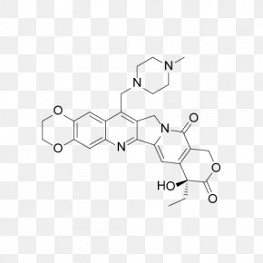 2574 - Lactone Camptothecin Angle P-glycoprotein PNG