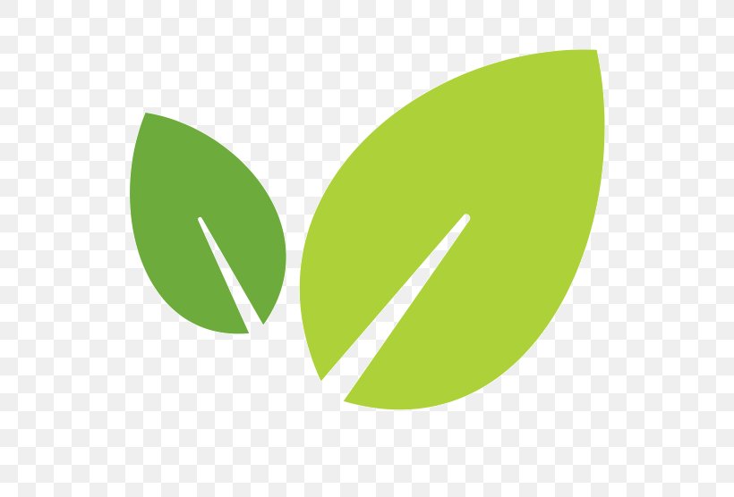 Logo Brand Green, PNG, 600x556px, Logo, Brand, Grass, Green, Leaf Download Free