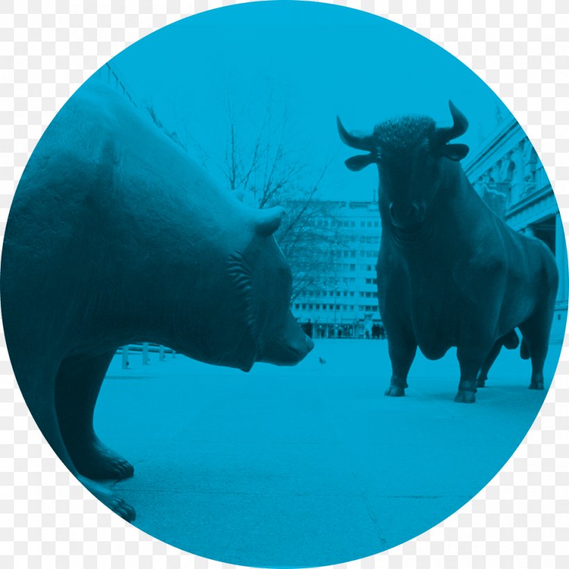 Stock Market FWB Exchange-traded Fund NASDAQ, PNG, 1002x1002px, Stock, Aqua, Bull, Cattle Like Mammal, Direxion Download Free