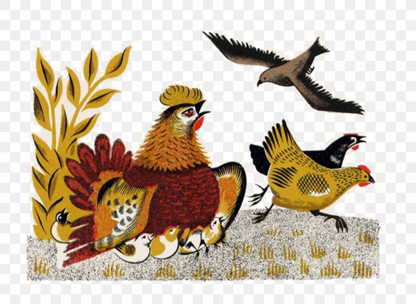 Chicken Rooster Krikuna Tail, PNG, 1856x1356px, Chicken, Art, Beak, Bird, Fauna Download Free